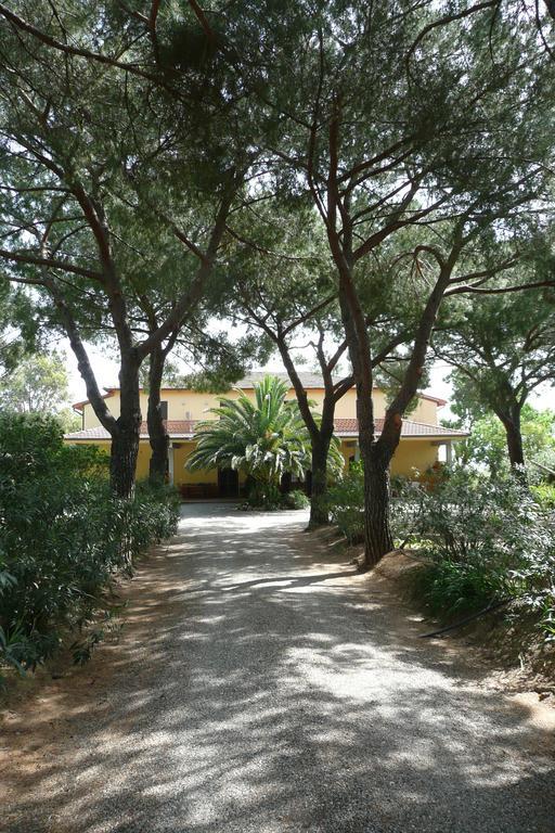 Podere Oslavia Az.Agr.Bio Giannini Alberese Exterior photo
